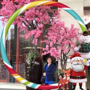 Meet your Posher, Donna